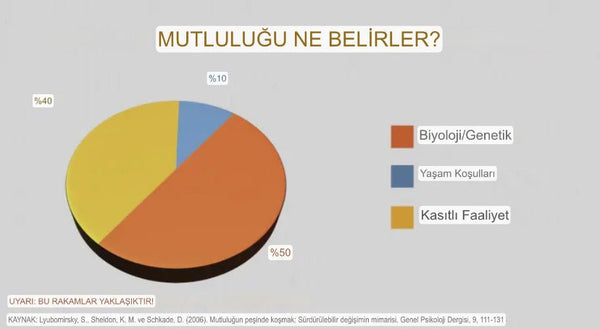Mutluluk Pastası !Mutlu Olmanızda Rol Oynayan Etkenler - herbantine